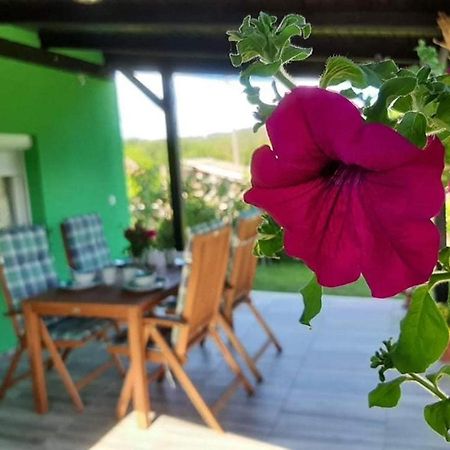Ruralna Kuca Za Odmor Viktorija Villa Caglin Dış mekan fotoğraf