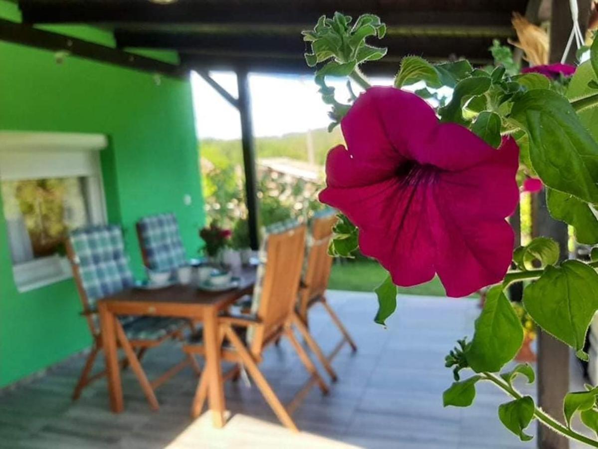 Ruralna Kuca Za Odmor Viktorija Villa Caglin Dış mekan fotoğraf